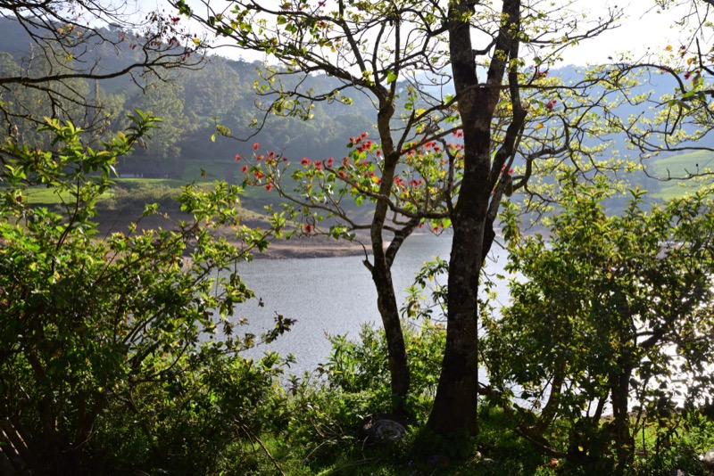 View from the Guesthouse