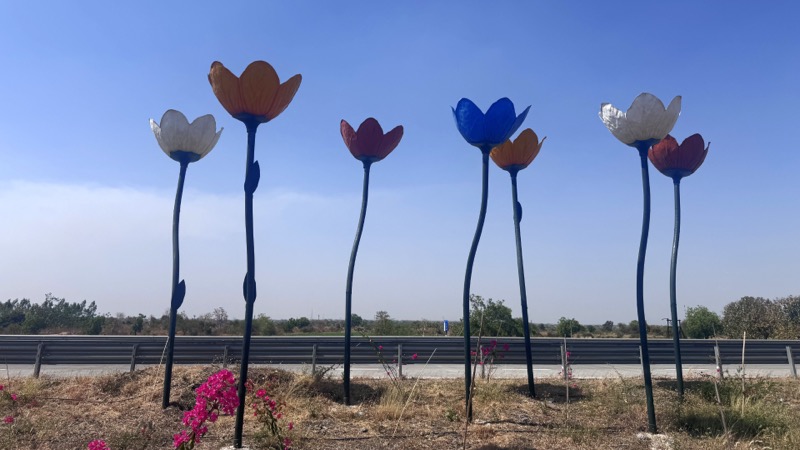 Highway Art on ME-2 Samruddhi Marg